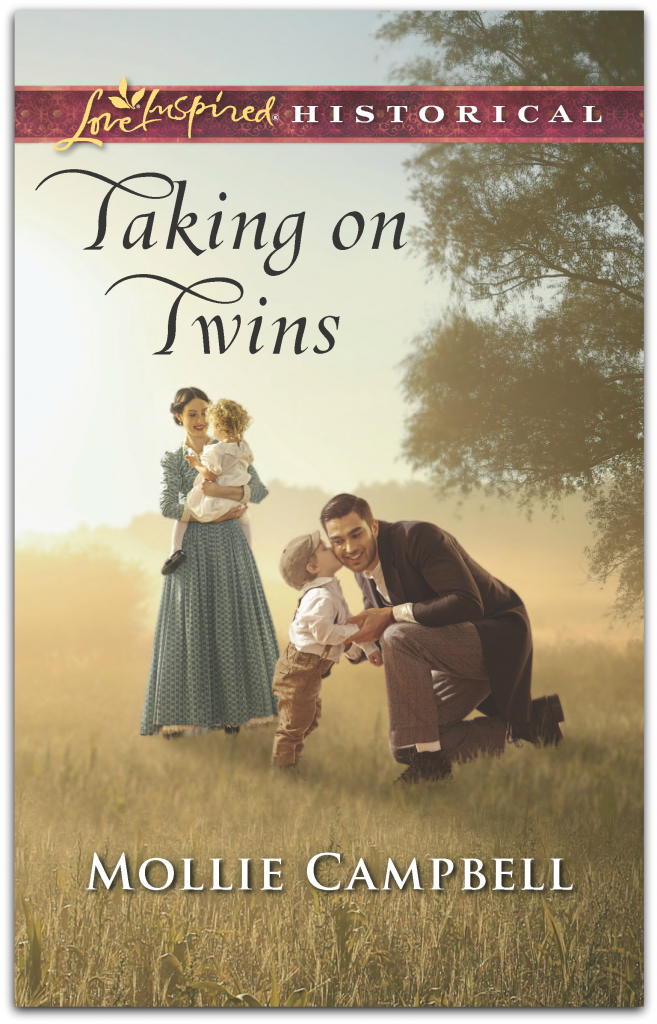 Taking on Twins book cover